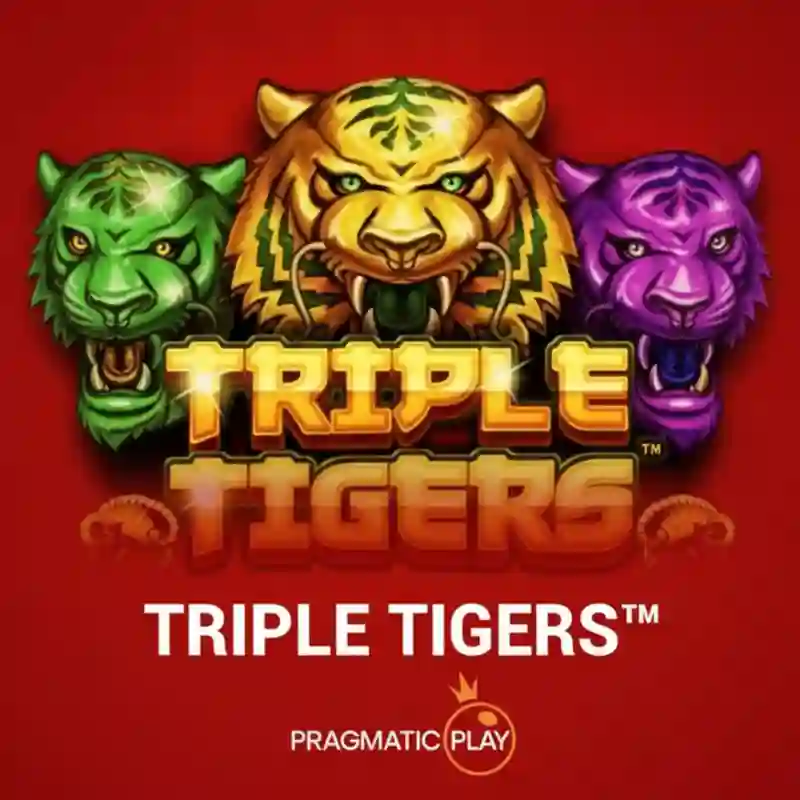 Triple Tigers